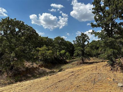 Property in Young County, Texas