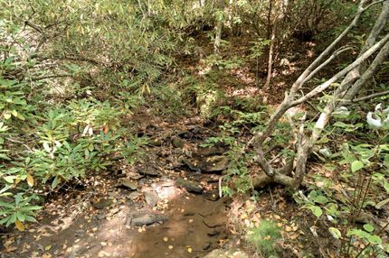 Property in Henderson County, North Carolina