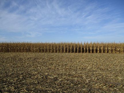 Property in McCook County, South Dakota