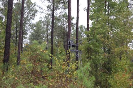 Property for sale in Marion County, Georgia