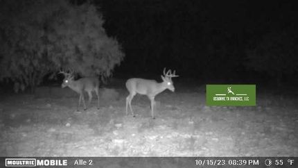 Property for sale in Crockett County, Texas