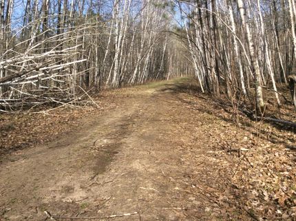 Property in Crow Wing County, Minnesota