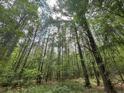 Property in Colbert County, Alabama