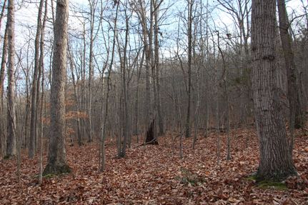 Property in Clarke County, Virginia