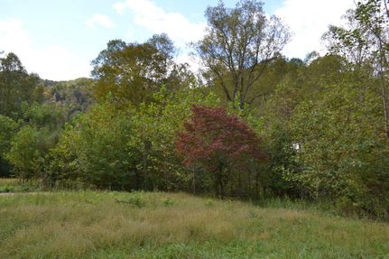 Property in Nicholas County, West Virginia