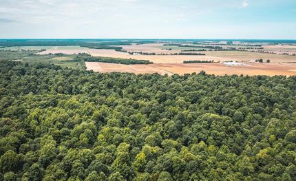 Property in Fulton County, Kentucky