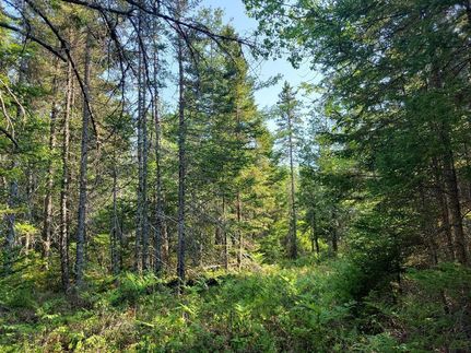 Property in Hancock County, Maine