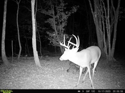 Property in Dodge County, Georgia