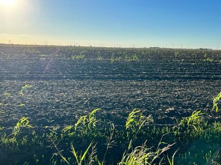 Property in Wharton County, Texas