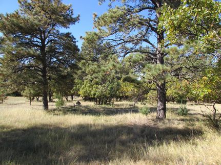 Property in Crook County, Wyoming