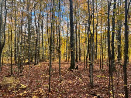 Property in Houghton County, Michigan