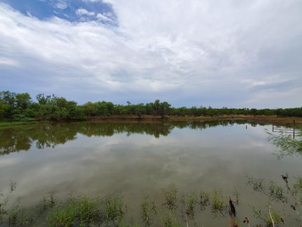 Property in Shackelford County, Texas