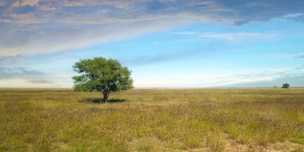Property in Bailey County, Texas
