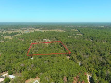 Property in Polk County, Texas