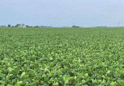 Property in Wells County, Indiana