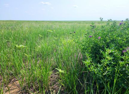Property in Kiowa County, Colorado