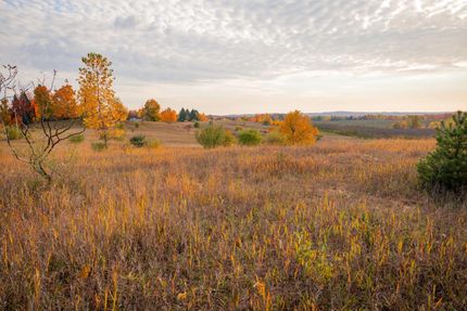 Property in Oceana County, Michigan