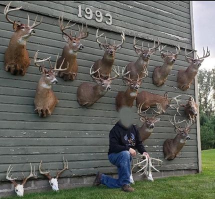 Property in Buffalo County, Wisconsin