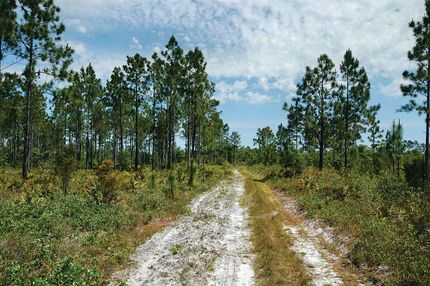 Property in Suffolk County, Massachusetts