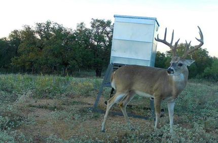 Property in Mason County, Texas