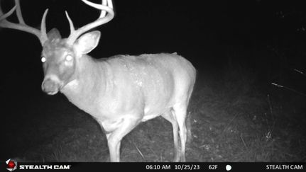 Property in Juneau County, Wisconsin