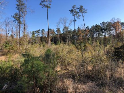 Property in Calhoun County, Arkansas