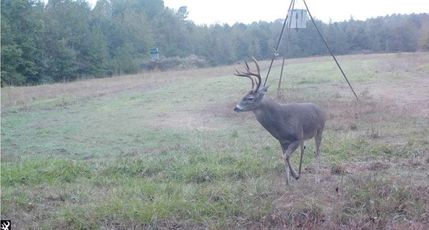 Timberland Property for sale in Marion County, Texas