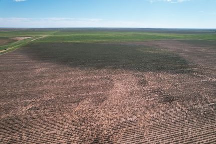 Property in Terry County, Texas