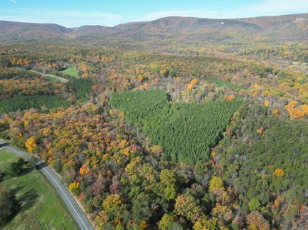Property in Frederick County, Virginia