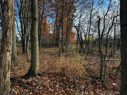 Property in Montcalm County, Michigan