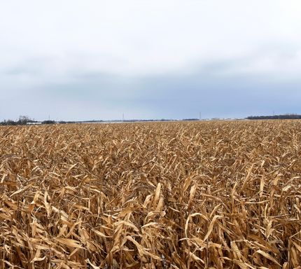 Property in Sargent County, North Dakota
