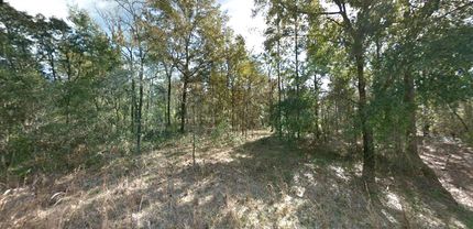 Property in Levy County, Florida