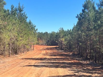 Property in Pike County, Alabama