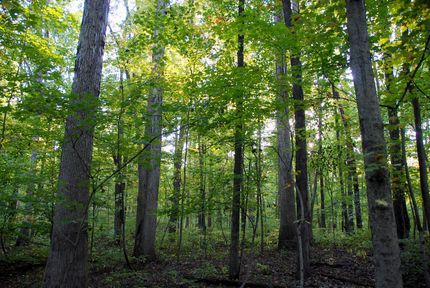 Property in Vermillion County, Indiana