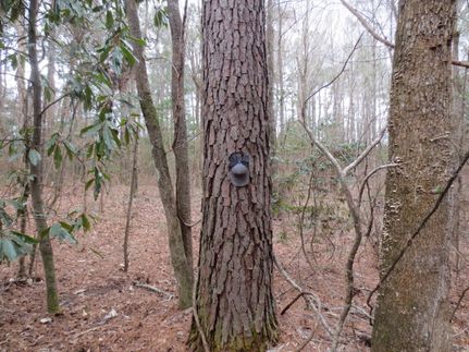 Property in Walthall County, Mississippi