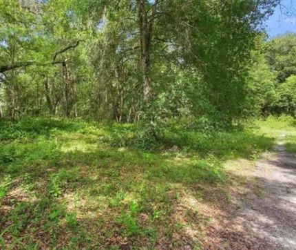 Property in Putnam County, Florida
