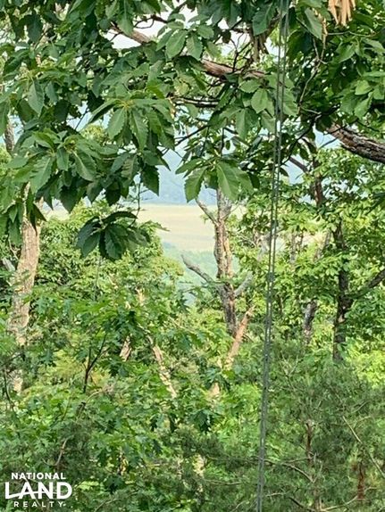 Property in Prince William County, Virginia