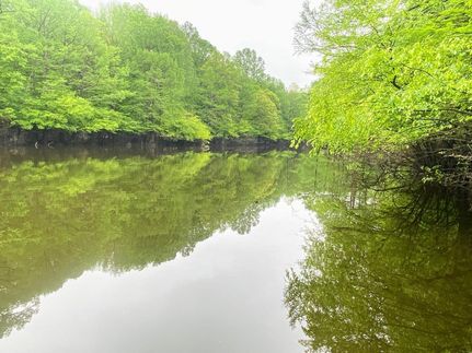 Property in Little River County, Arkansas