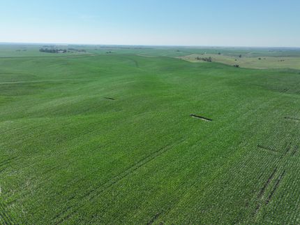 Property in Boone County, Nebraska