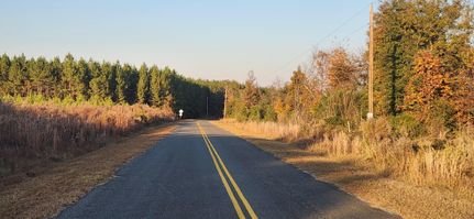 Property in Calhoun County, South Carolina