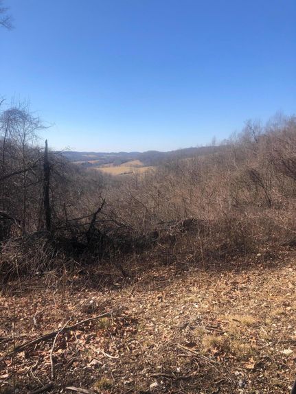 Property in Lee County, Virginia