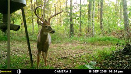 Property in Christian County, Kentucky