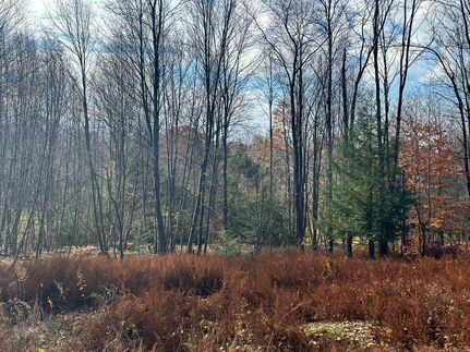 Property in Elk County, Pennsylvania