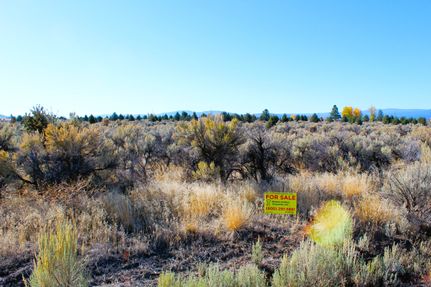 Property for sale in Modoc County, California