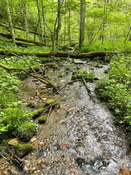Property in Ashe County, North Carolina