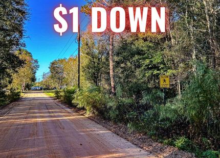 Property in Jeff Davis County, Georgia