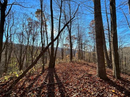 Property in Summers County, West Virginia