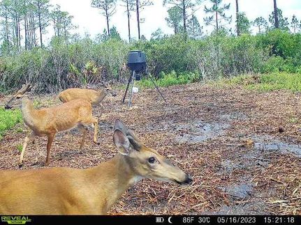 Property for sale in Madison County, Florida