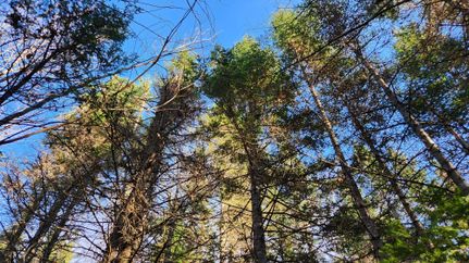 Property in Washington County, Maine