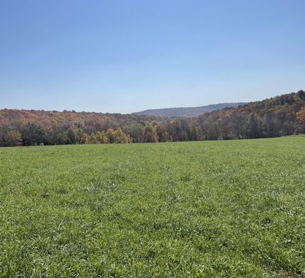 Property in Madison County, New York